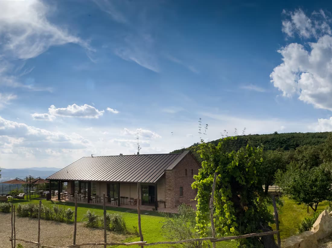 La casa entre viñedos y olivos